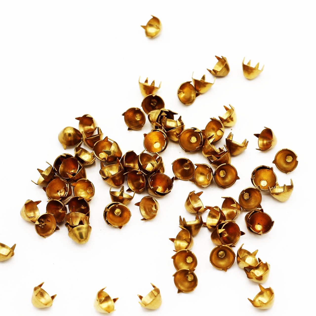 WhatsApp Image 2019-03-13 at 9.30.07 AM