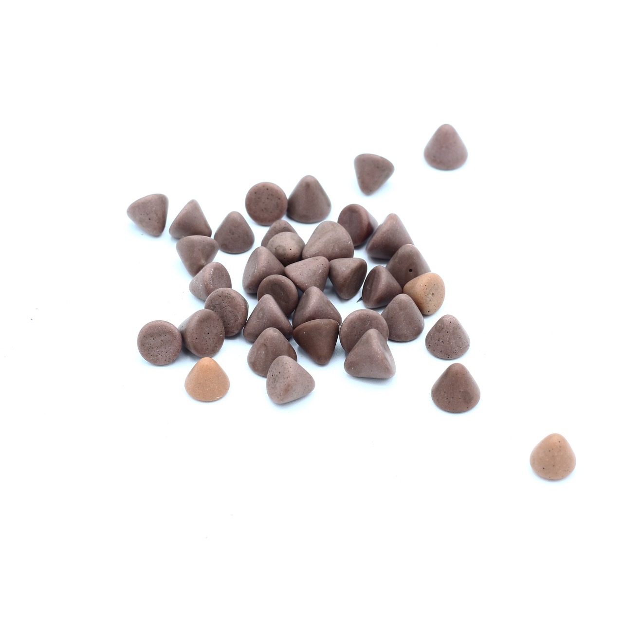 WhatsApp Image 2019-04-02 at 5.39.20 PM(1)