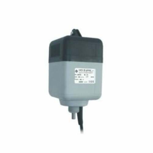 درل كارلو كامل